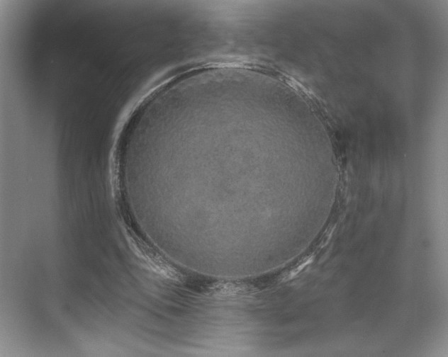 X0000073830343200608101209