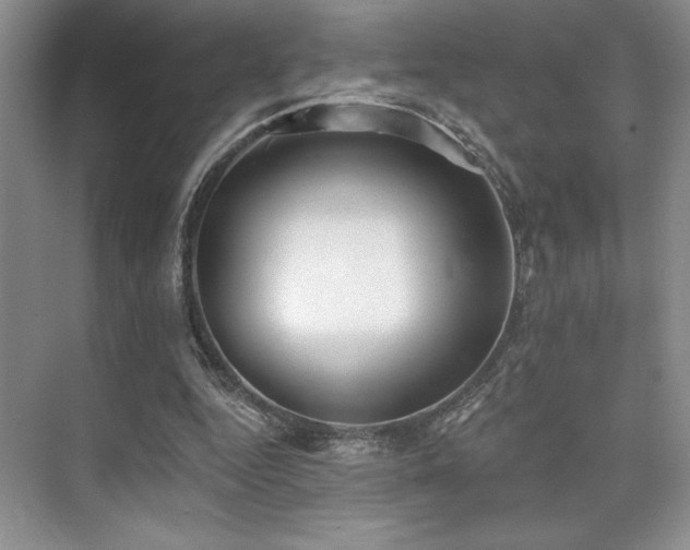 X0000073830344200608101209