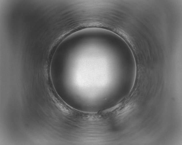 X0000073830345200608101209