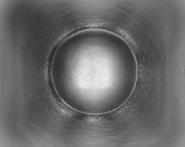 X0000073830346200608101209