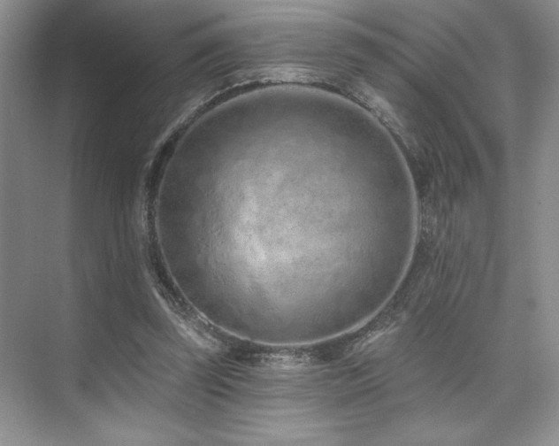 X0000073830347200608101209