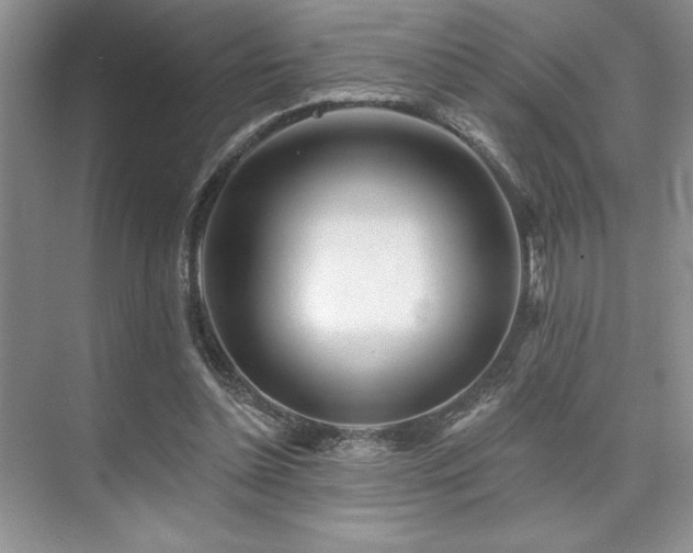 X0000073830348200608101209