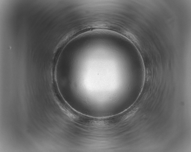 X0000073830349200608101209