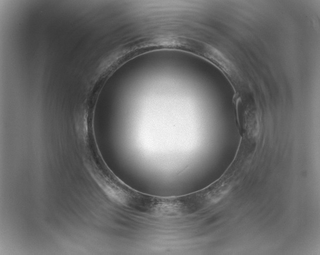 X0000073830350200608101209