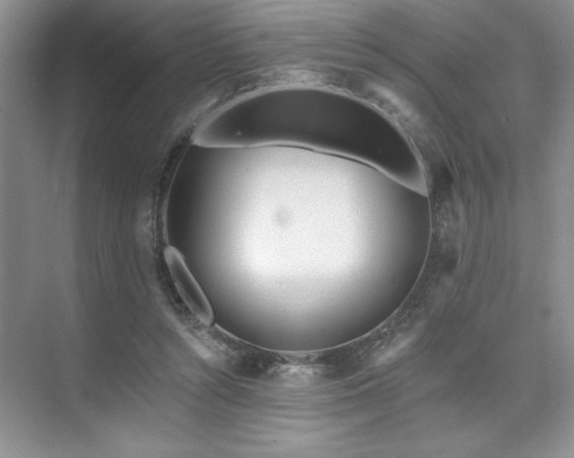 X0000073830352200608101209