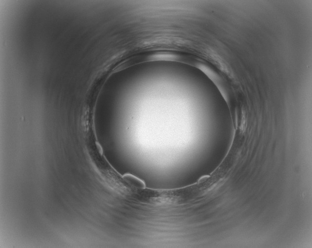 X0000073830356200608101209