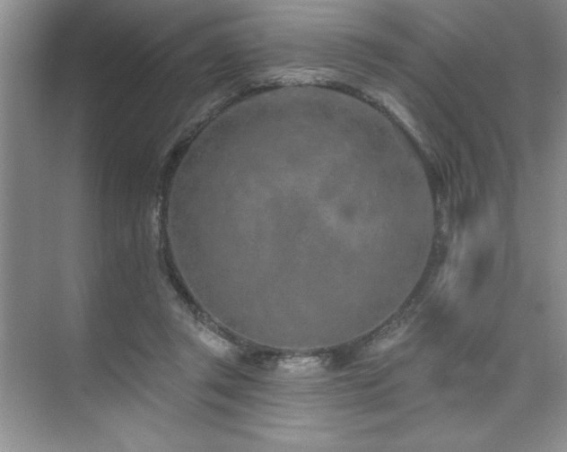 X0000073830357200608101209