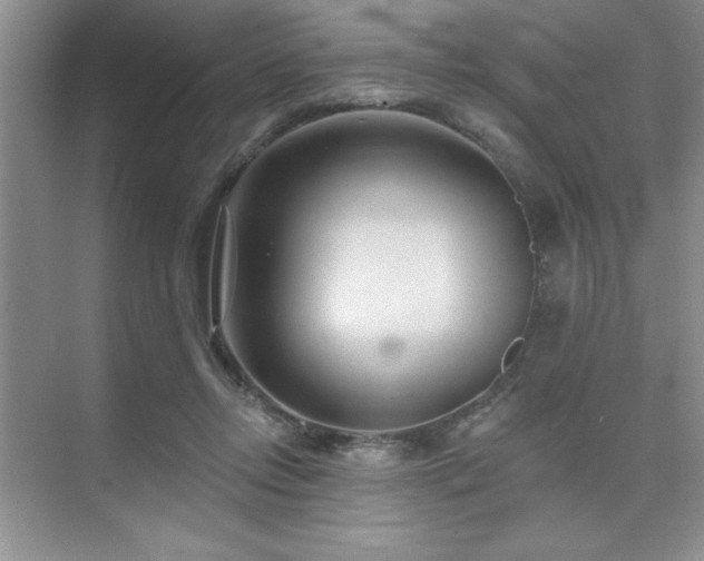 X0000073830358200608101209