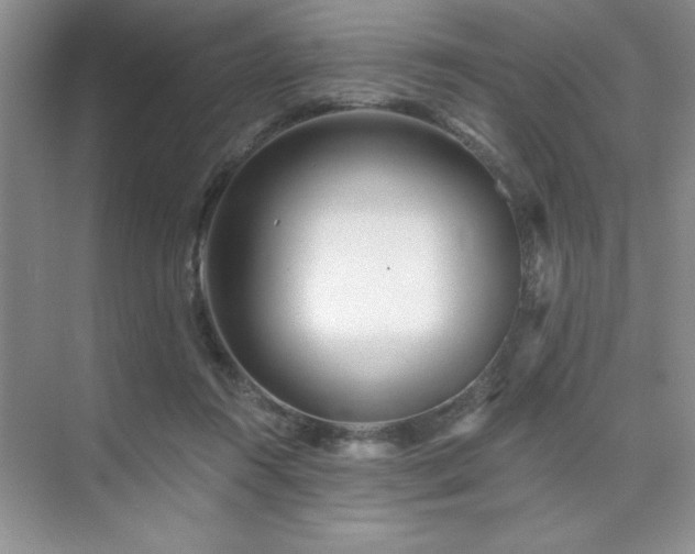 X0000073830360200608101209