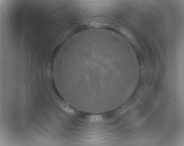 X0000073830361200608101209