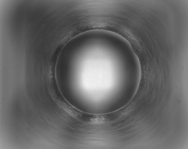 X0000073830362200608101209