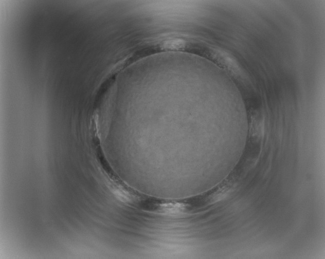 X0000073830363200608101209