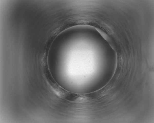 X0000073830364200608101209