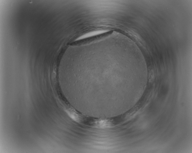 X0000073830365200608101209