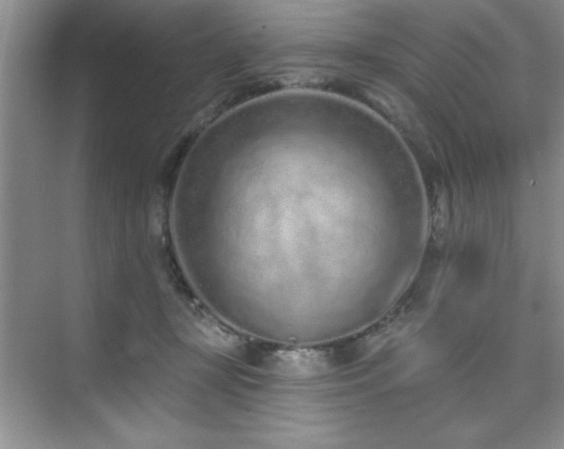 X0000073830367200608101209