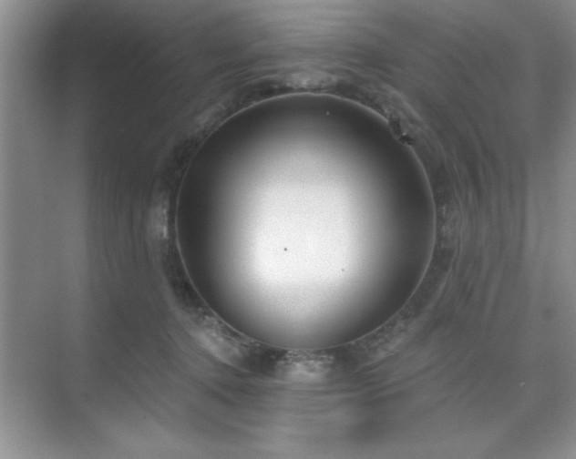 X0000073830368200608101209