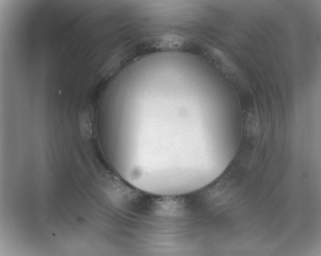 X0000073830370200608101209