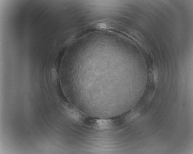 X0000073830371200608101209