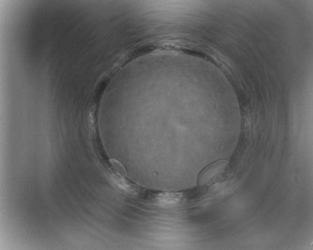 X0000073830373200608101210