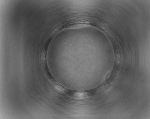 X0000073830375200608101210