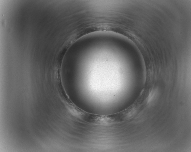 X0000073830379200608101210