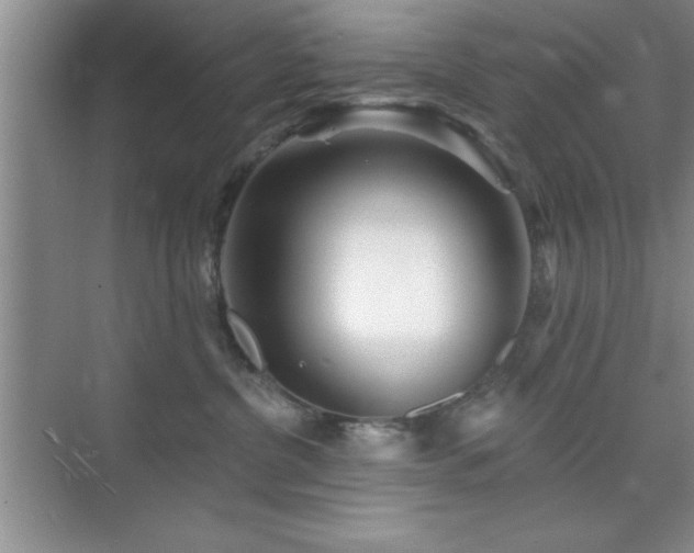 X0000073830380200608101210