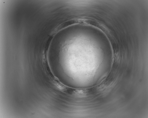 X0000073830381200608101210