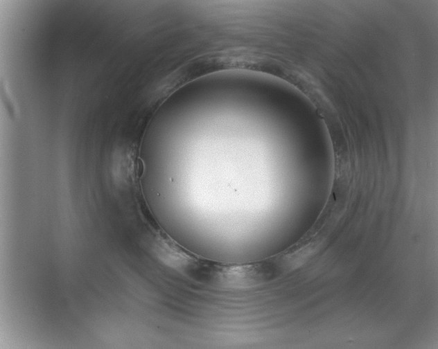 X0000073830382200608101210