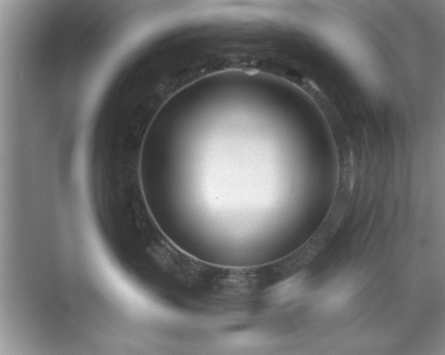 X0000073830383200608101210