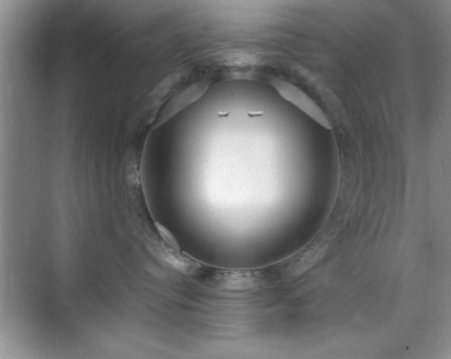 X0000073830384200608101210