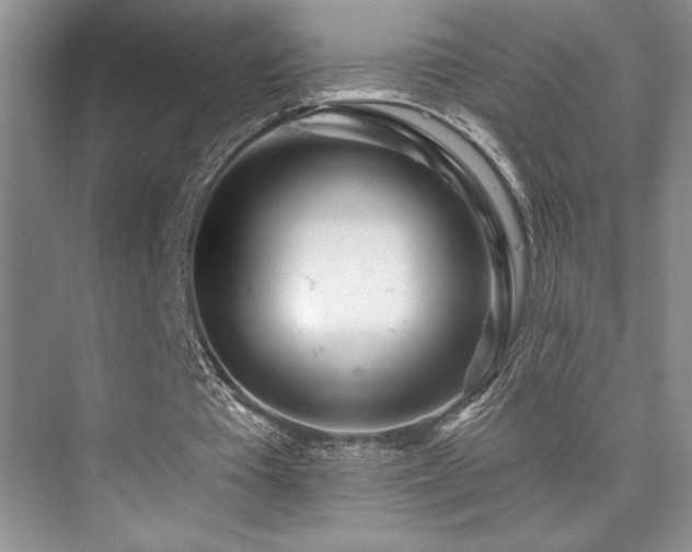 X0000073830385200608101209