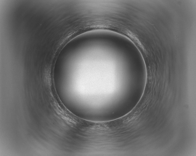 X0000073830386200608101209