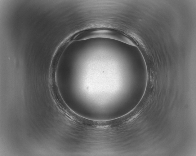 X0000073830388200608101209