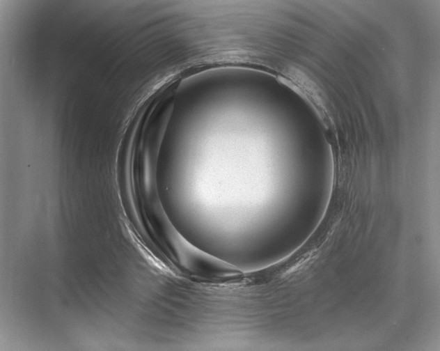 X0000073830389200608101209