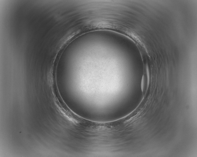 X0000073830390200608101209