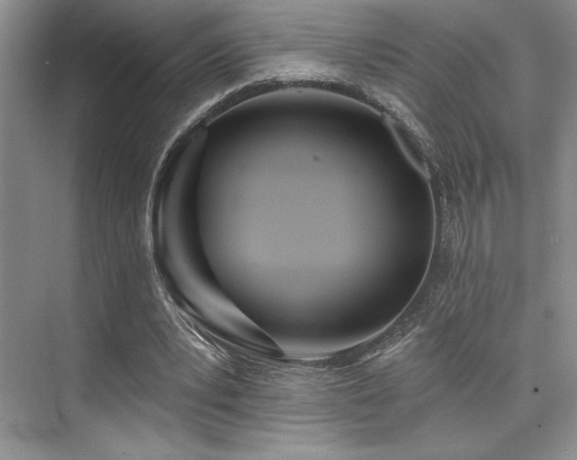 X0000073830391200608101209