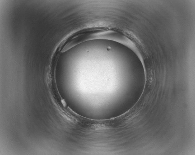 X0000073830392200608101209