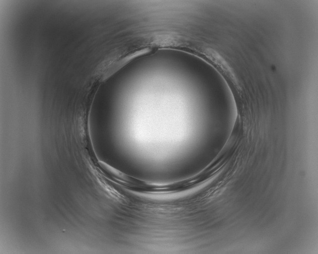 X0000073830393200608101209