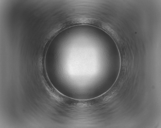 X0000073830394200608101209