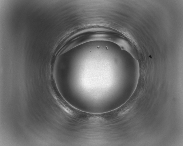 X0000073830397200608101209