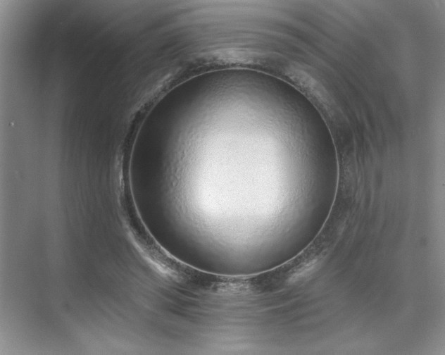 X0000073830398200608101209