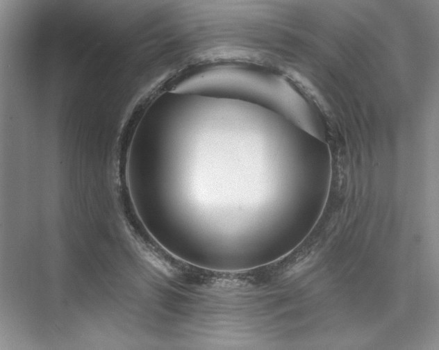 X0000073830399200608101209