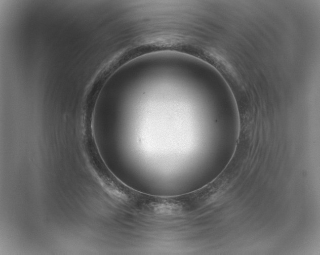 X0000073830400200608101209