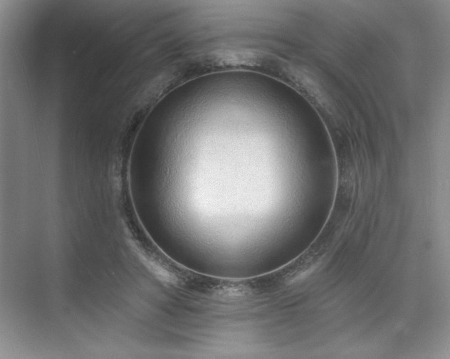 X0000073830402200608101209