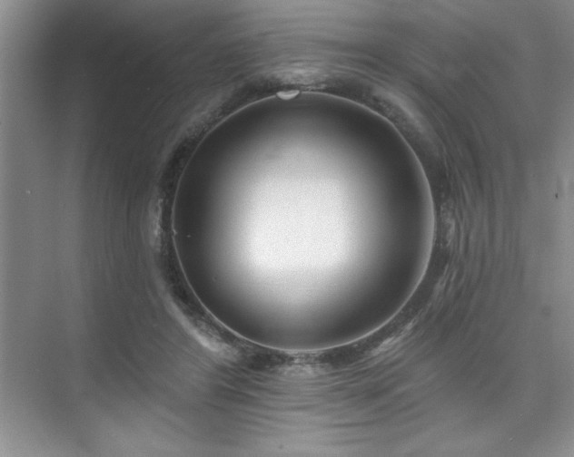 X0000073830404200608101209