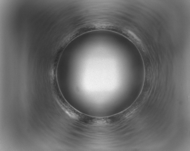 X0000073830405200608101209