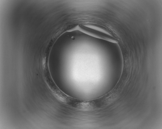 X0000073830406200608101209