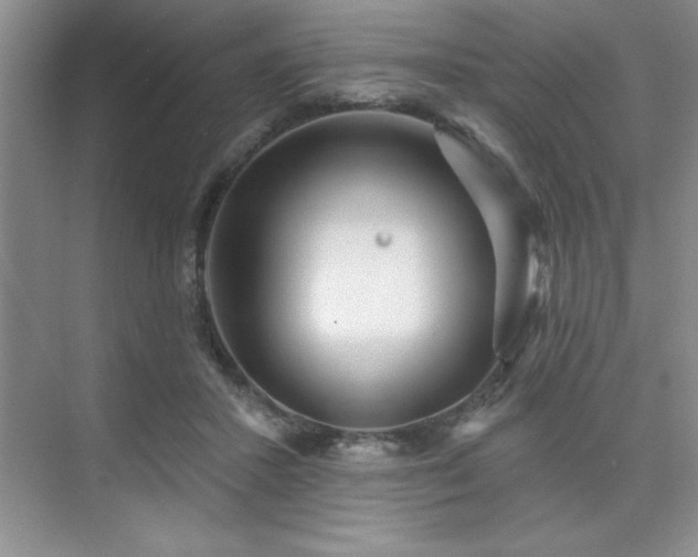 X0000073830407200608101209