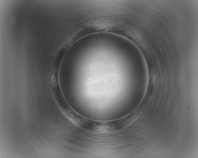 X0000073830408200608101209