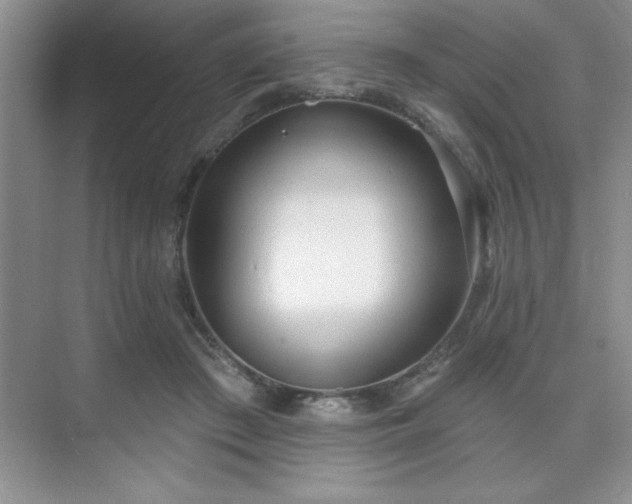 X0000073830409200608101208